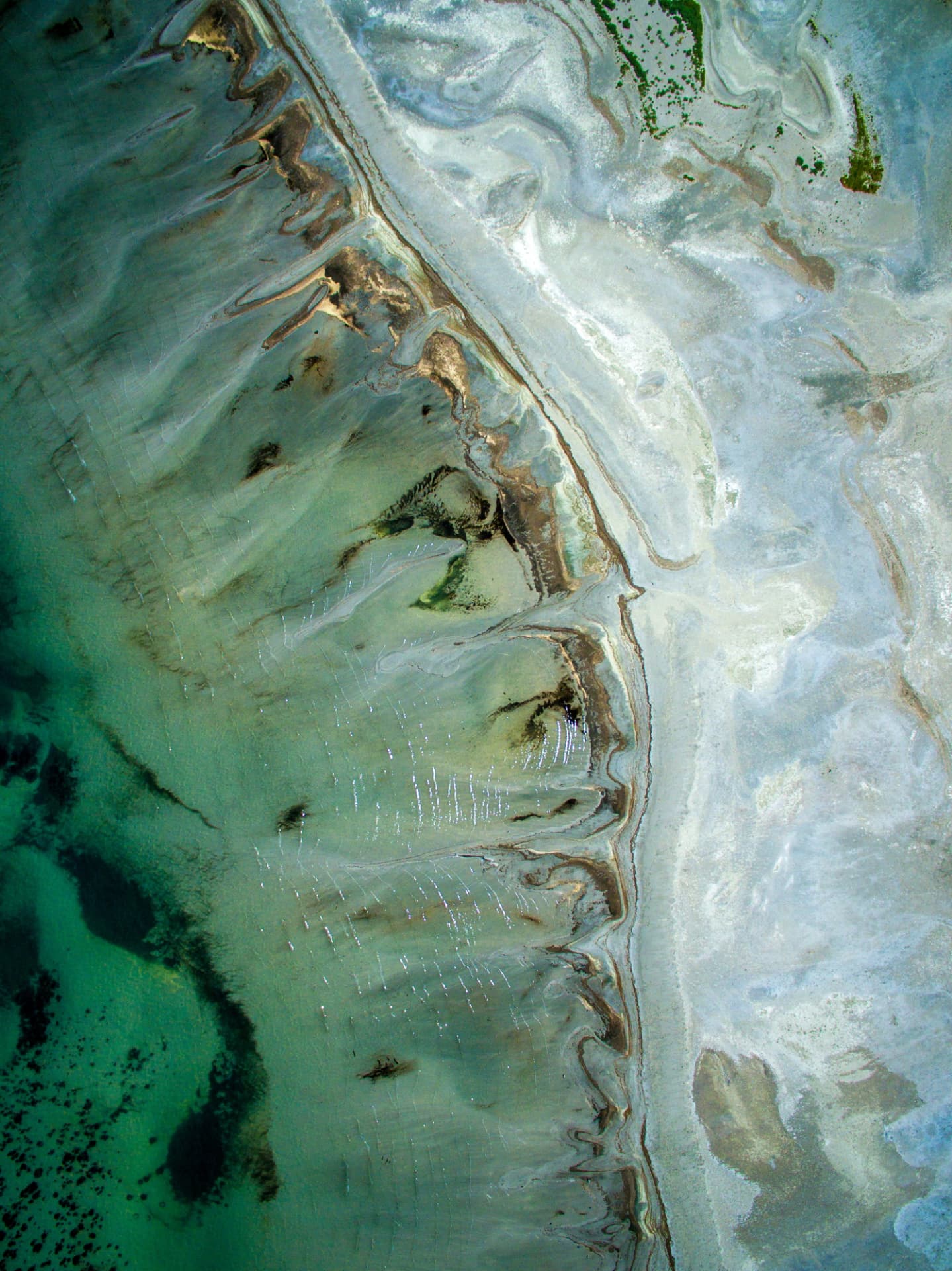 Aerial view of tidal flats in green and sand